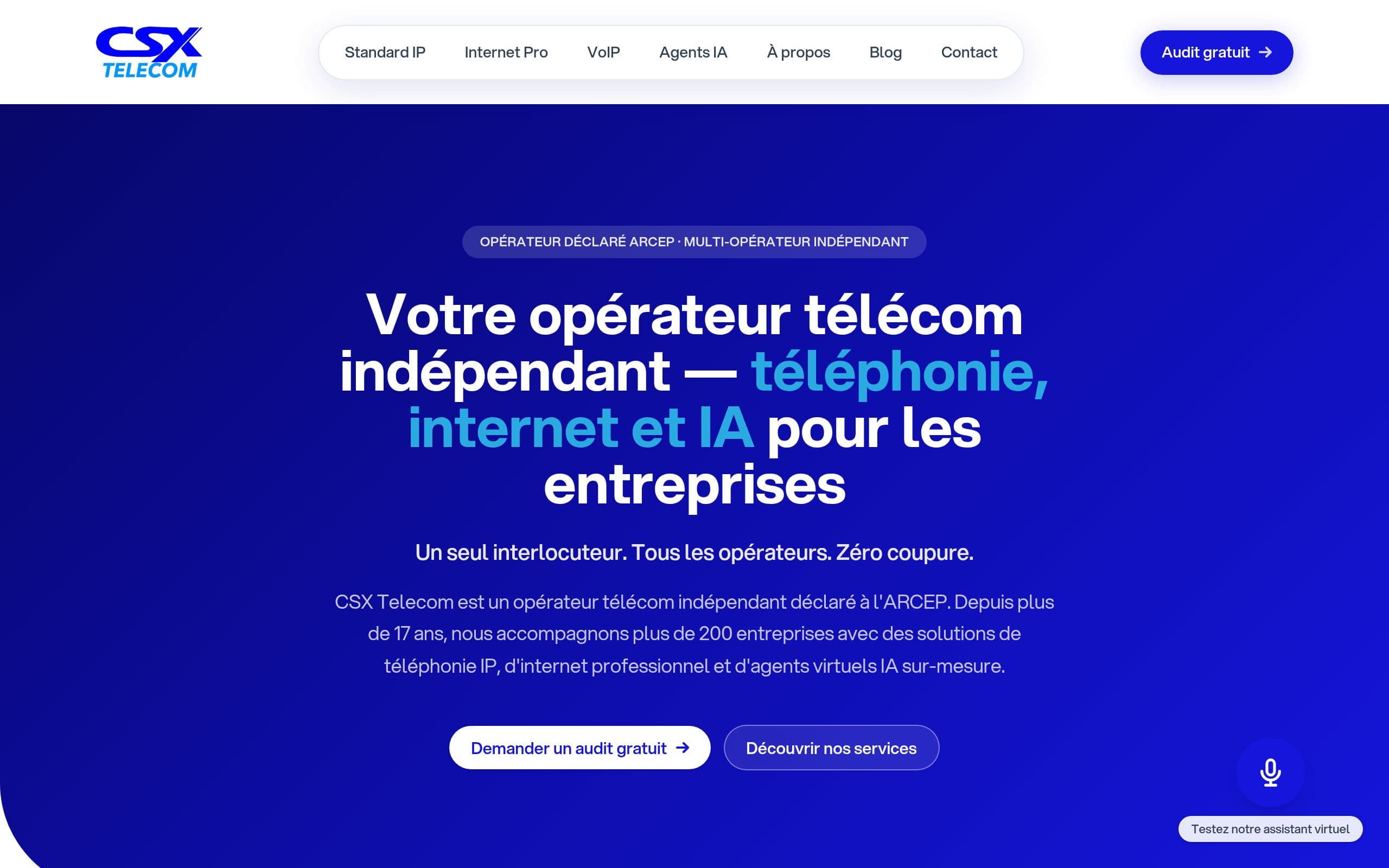 Aperçu du site CSX Telecom
